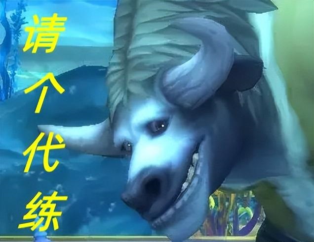WLK不可期代练开始接管 WLK不可期代练开始接管